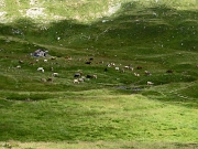 Anello attorno al Monte Ponteranica dal rifugio Ca San Marco il 6 settembre 2012 - FOTOGALLERY